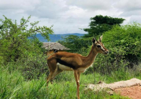 Oldonyo Orok Camp